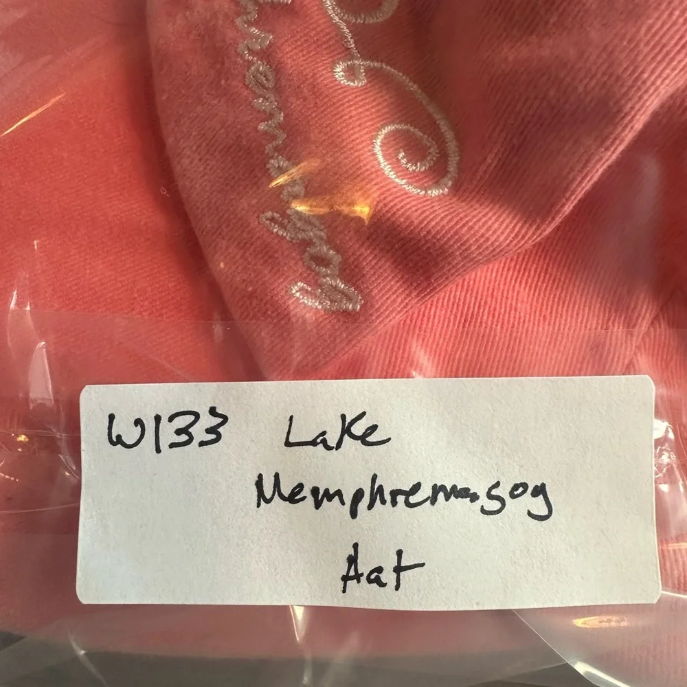 Lake Memphremagog‎ Vermont Slideback Hat Pink One Size Adjustable Embroidered